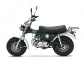 2012 Pitster Pro Sherpa 125 photo